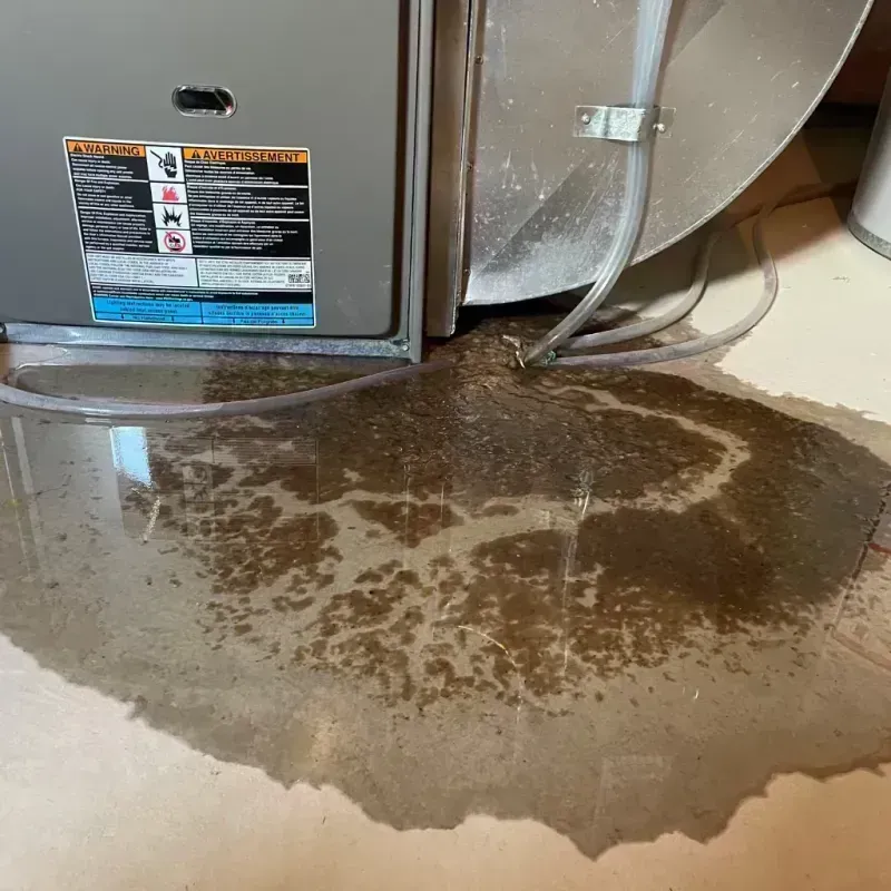 Appliance Leak Cleanup in La Plata, MO